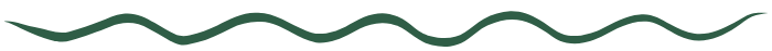 curvy separator